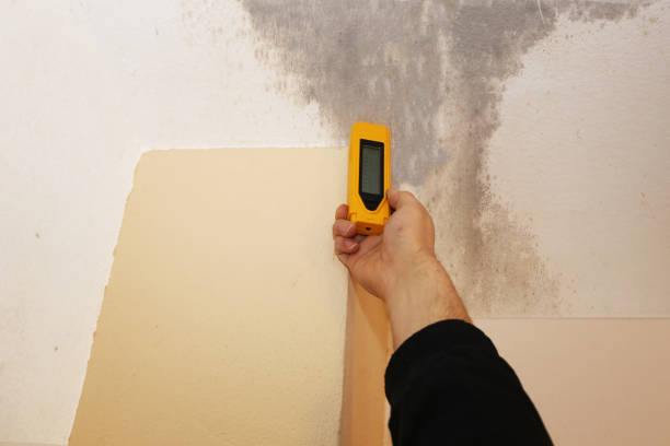 Best HVAC Mold Inspection and Cleaning  in Mcmechen, WV