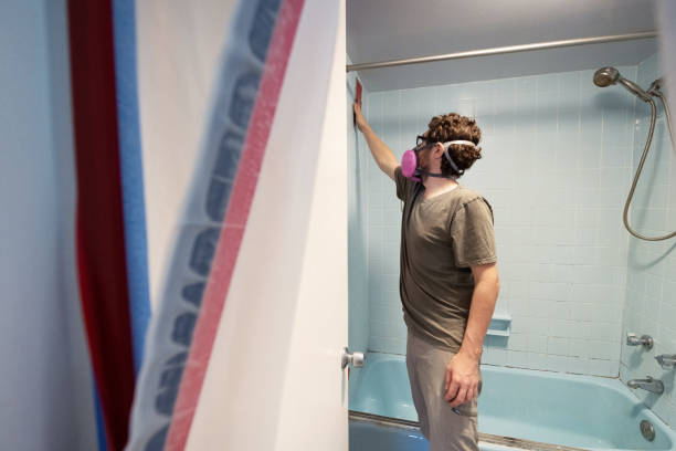 Best Biohazard Mold Removal  in Mcmechen, WV