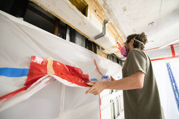 Reliable Mcmechen, WV Mold Removal Solutions