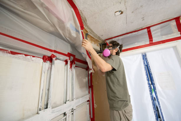 Best Comprehensive Air Testing for Mold Contaminants  in Mcmechen, WV