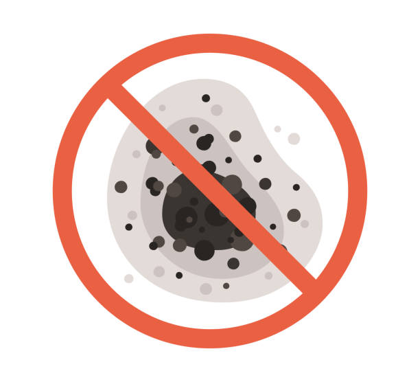 Best Emergency Mold Remediation  in Mcmechen, WV
