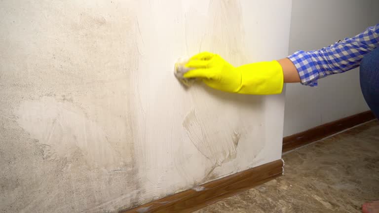 Best Mold Odor Removal Services  in Mcmechen, WV