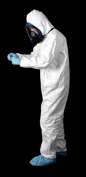 Best Environmental Consulting for Mold Prevention  in Mcmechen, WV