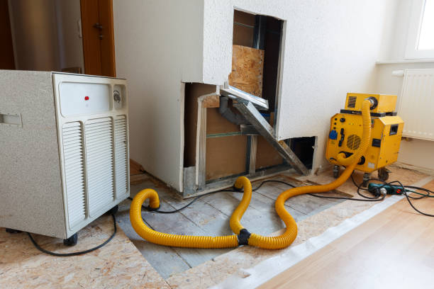 Best Dehumidification Services  in Mcmechen, WV