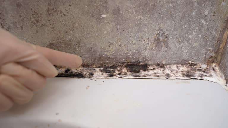 Best Residential Mold Inspection & Testing  in Mcmechen, WV
