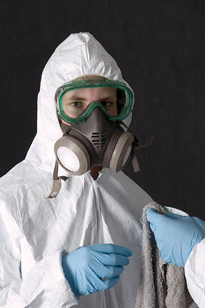 Best Mold Damage Restoration  in Mcmechen, WV